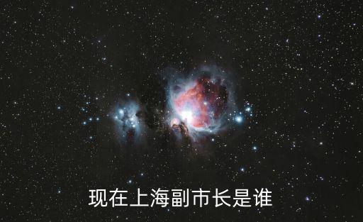 現任上海市區委副書記，現在上海副市長是誰