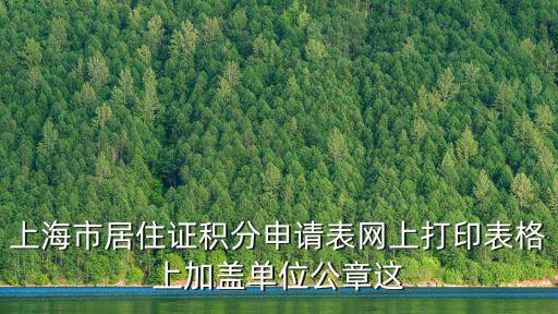 上海市居住證積分申請(qǐng)表網(wǎng)上打印表格上加蓋單位公章這