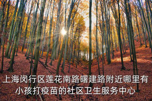 上海閔行區蓮花南路曙建路附近哪里有小孩打疫苗的社區衛生服務中心