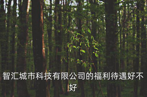 智匯城市科技有限公司的福利待遇好不好