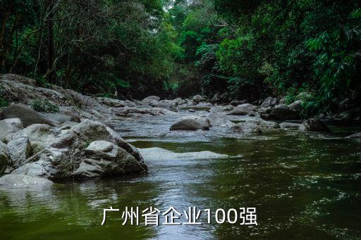 廣州省企業100強