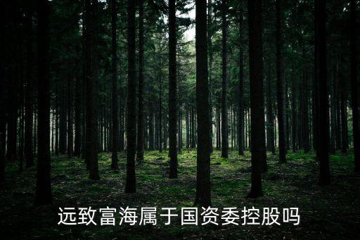 遠致富海屬于國資委控股嗎