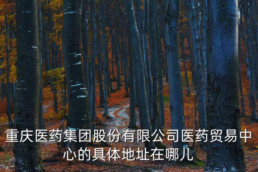 重慶市渝中區民族路128號，重慶環球金融中心的地址
