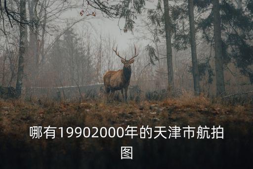哪有19902000年的天津市航拍圖