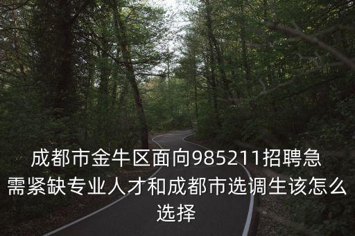 成都市2018年緊缺人才選調生，成都市金牛區面向985211招聘急需緊缺專業人才和成都市選調生該怎么選擇