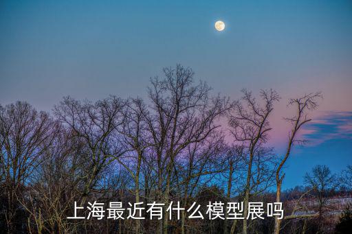 上海最近有什么模型展嗎