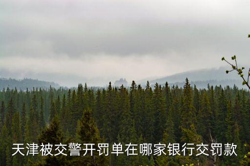 天津被交警開罰單在哪家銀行交罰款