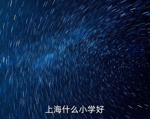 上海什么小學(xué)好