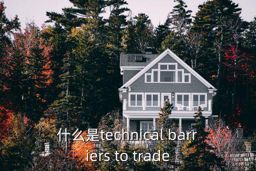 上海市技術性貿易措施，什么是technical barriers to trade