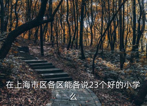 在上海市區(qū)各區(qū)能各說23個好的小學(xué)么