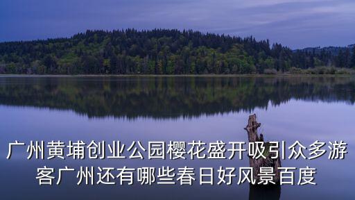 廣州海珠湖公園的花海，2022年廣州海珠濕地公園幾月份紫荊花開