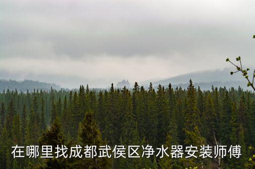 在哪里找成都武侯區凈水器安裝師傅