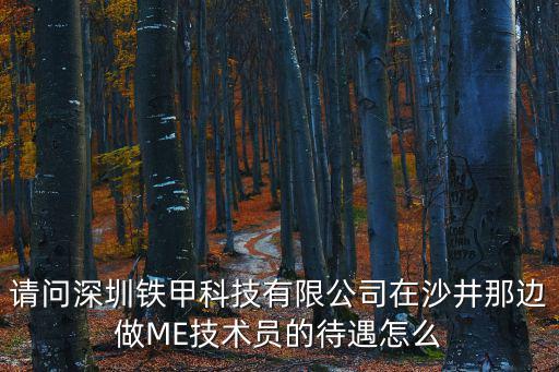 請問深圳鐵甲科技有限公司在沙井那邊做ME技術(shù)員的待遇怎么