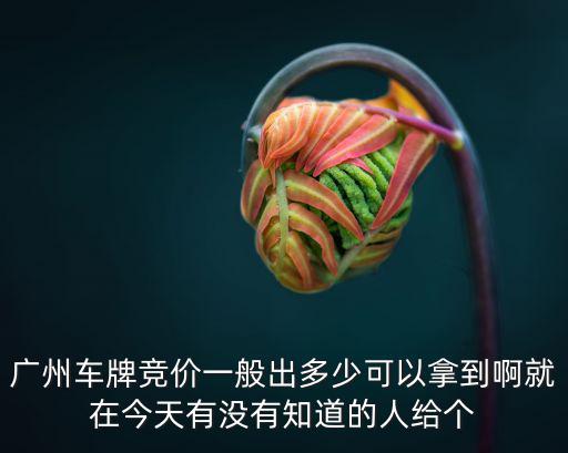 廣州車牌競(jìng)價(jià)一般出多少可以拿到啊就在今天有沒(méi)有知道的人給個(gè)