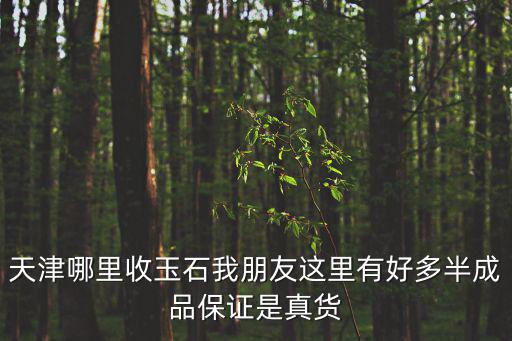 天津哪里收玉石我朋友這里有好多半成品保證是真貨