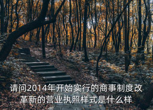 請問2014年開始實行的商事制度改革新的營業執照樣式是什么樣