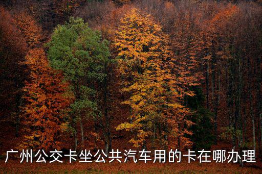 廣州奧體辦卡，我在奧體附近在哪辦理公交卡