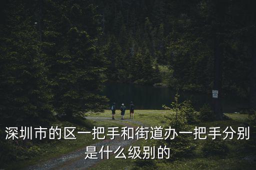 深圳市的區一把手和街道辦一把手分別是什么級別的