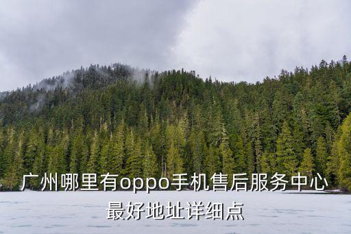 廣州oppo售后維修中心，oppoMP3廣州偉騰電腦城最近的維修站在那里