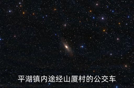 平湖鎮(zhèn)內(nèi)途經(jīng)山廈村的公交車(chē)