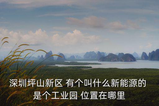 深圳坪山新區 有個叫什么新能源的 是個工業園 位置在哪里