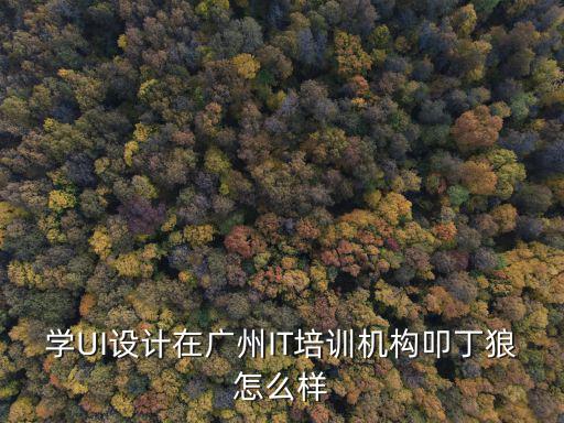 學UI設計在廣州IT培訓機構叩丁狼怎么樣