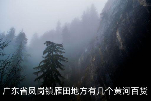 廣東省鳳崗鎮雁田地方有幾個黃河百貨