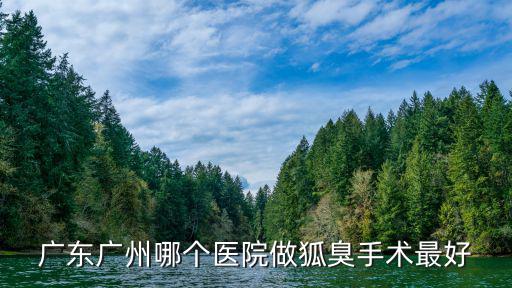 廣東廣州哪個醫院做狐臭手術最好