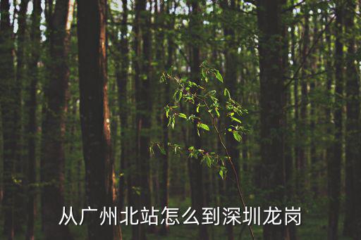 廣州北到龍崗怎么坐車，從廣州火車北站怎么坐車到深圳龍崗平湖票價是多少急