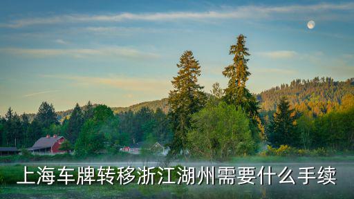 上海車牌轉移浙江湖州需要什么手續