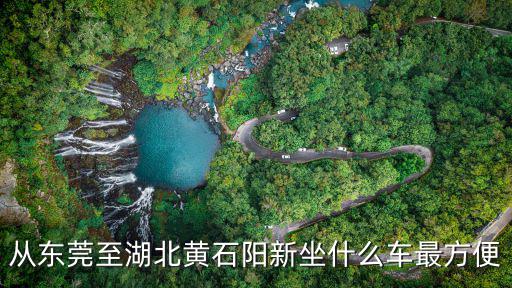 陽新到東莞的便風車，陽新到東莞每天有長途客車嗎