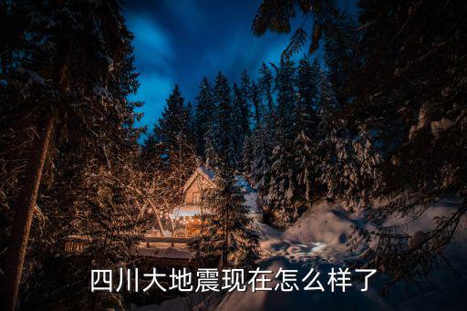 四川大地震現(xiàn)在怎么樣了