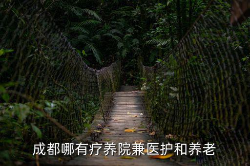 成都市醫護一體養老院，成都有沒有那種醫養一體的醫院