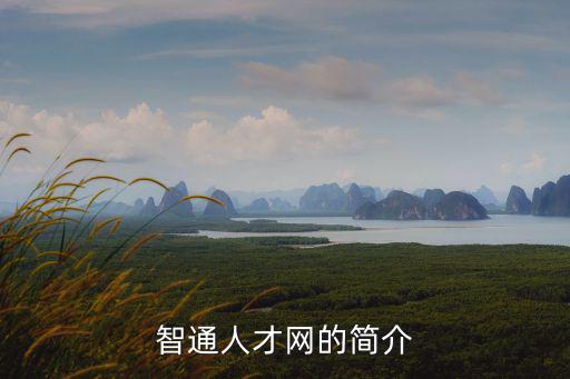 東莞市智通人才網絡公司，東莞智通人才網怎么樣找工作好用嗎