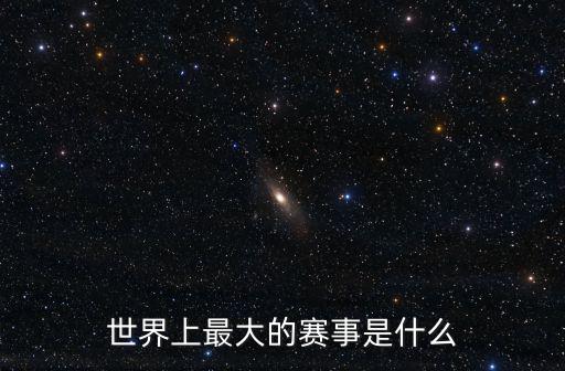 世界上最大的賽事是什么