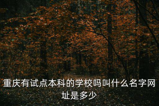 重慶有試點本科的學校嗎叫什么名字網址是多少