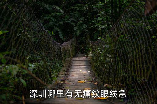 深圳哪里有無痛紋眼線急