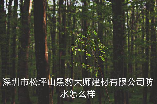 防水黑豹深圳龍崗，深圳粵信黑豹防水JS一1型價(jià)錢多少