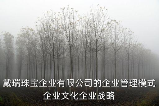 戴瑞珠寶企業有限公司的企業管理模式企業文化企業戰略