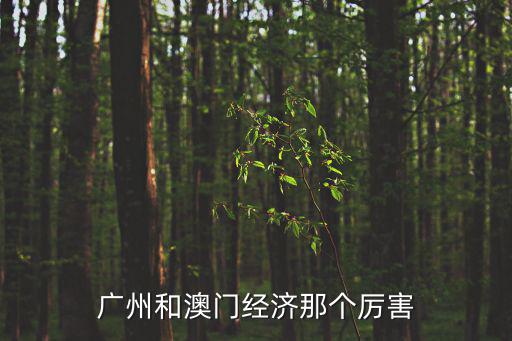 廣州和澳門經濟那個厲害