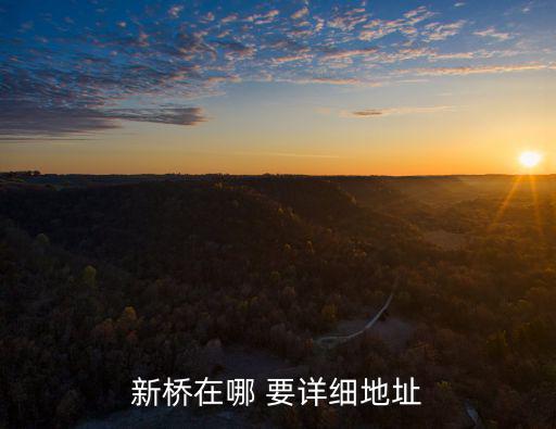 新橋在哪 要詳細地址