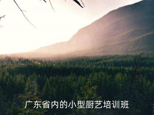 廣州艾果職業培訓學校，廣東省內的小型廚藝培訓班