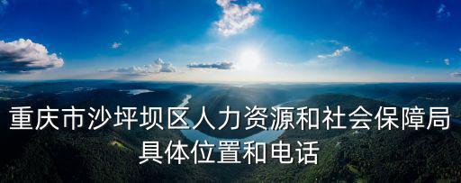 重慶市沙坪壩區人力資源和社會保障局具體位置和電話