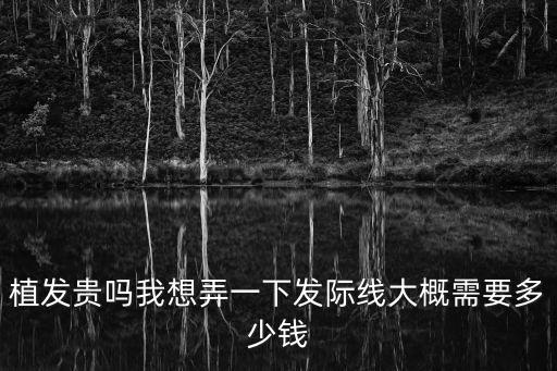 植發貴嗎我想弄一下發際線大概需要多少錢