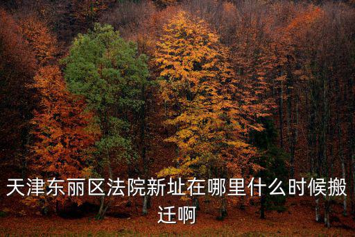 天津東麗區(qū)法院新址在哪里什么時(shí)候搬遷啊