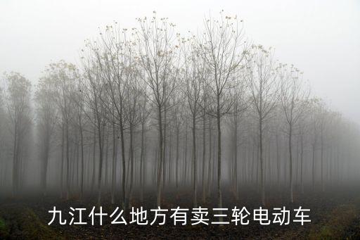 九江什么地方有賣三輪電動車