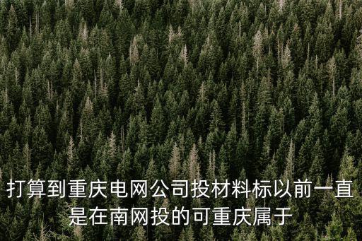 打算到重慶電網(wǎng)公司投材料標(biāo)以前一直是在南網(wǎng)投的可重慶屬于