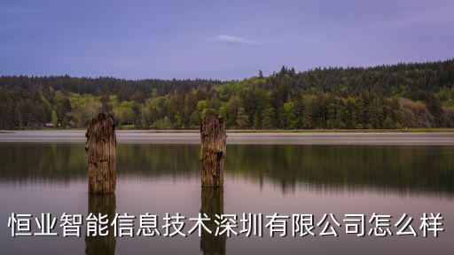 恒業智能信息技術深圳有限公司怎么樣