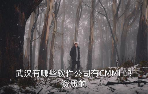 武漢有哪些軟件公司有CMMI L3資質的