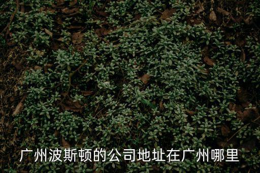 廣州波斯頓的公司地址在廣州哪里